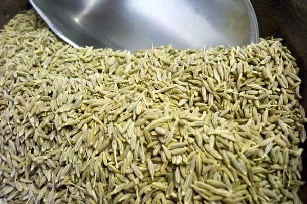 فروش زیره